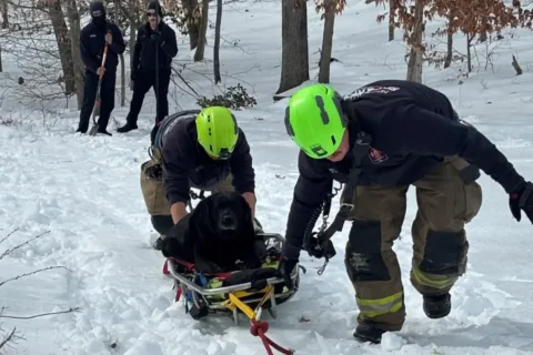 two members of Prince William County Fire & Rescue pull a black lab to safety after she fell down an icy embankment