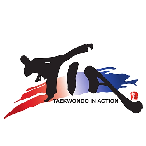 Taekwondo in Action Summer Camp