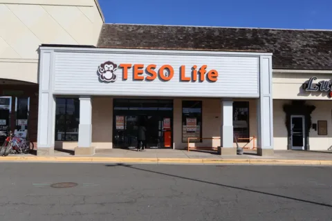 Teso Life