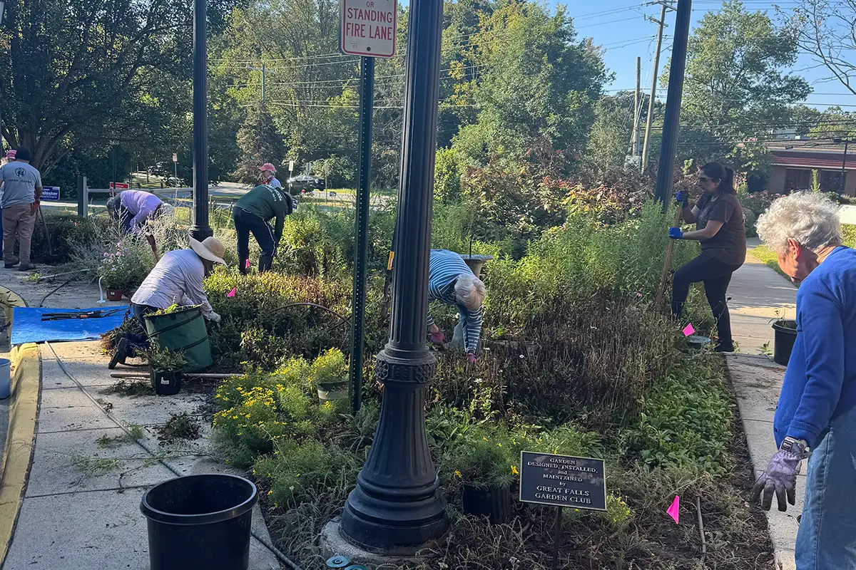 Garden club members planting flowers and shrubs in Falls Church