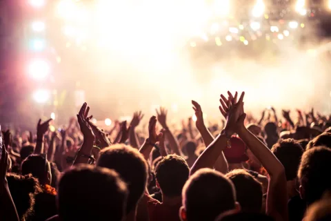 crowd at a concert