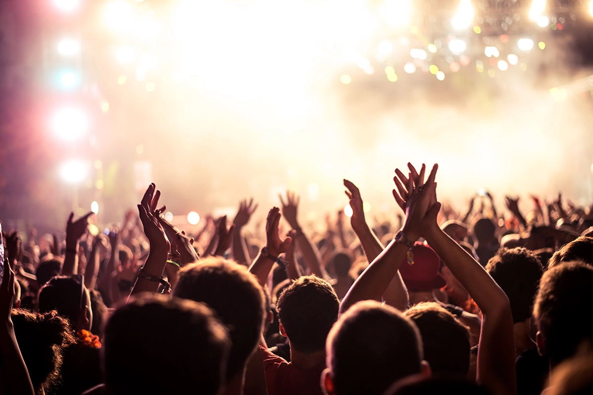 crowd at a concert