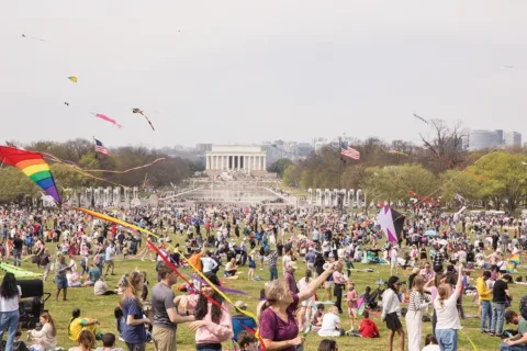 National Cherry Blossom Festival