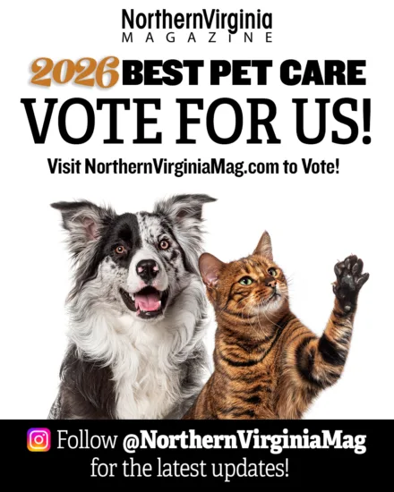 2026 best pet care insta