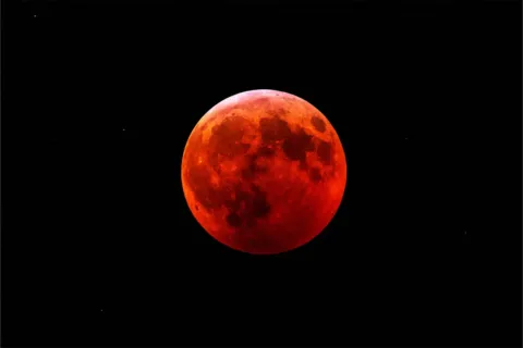a blood moon against the night sky