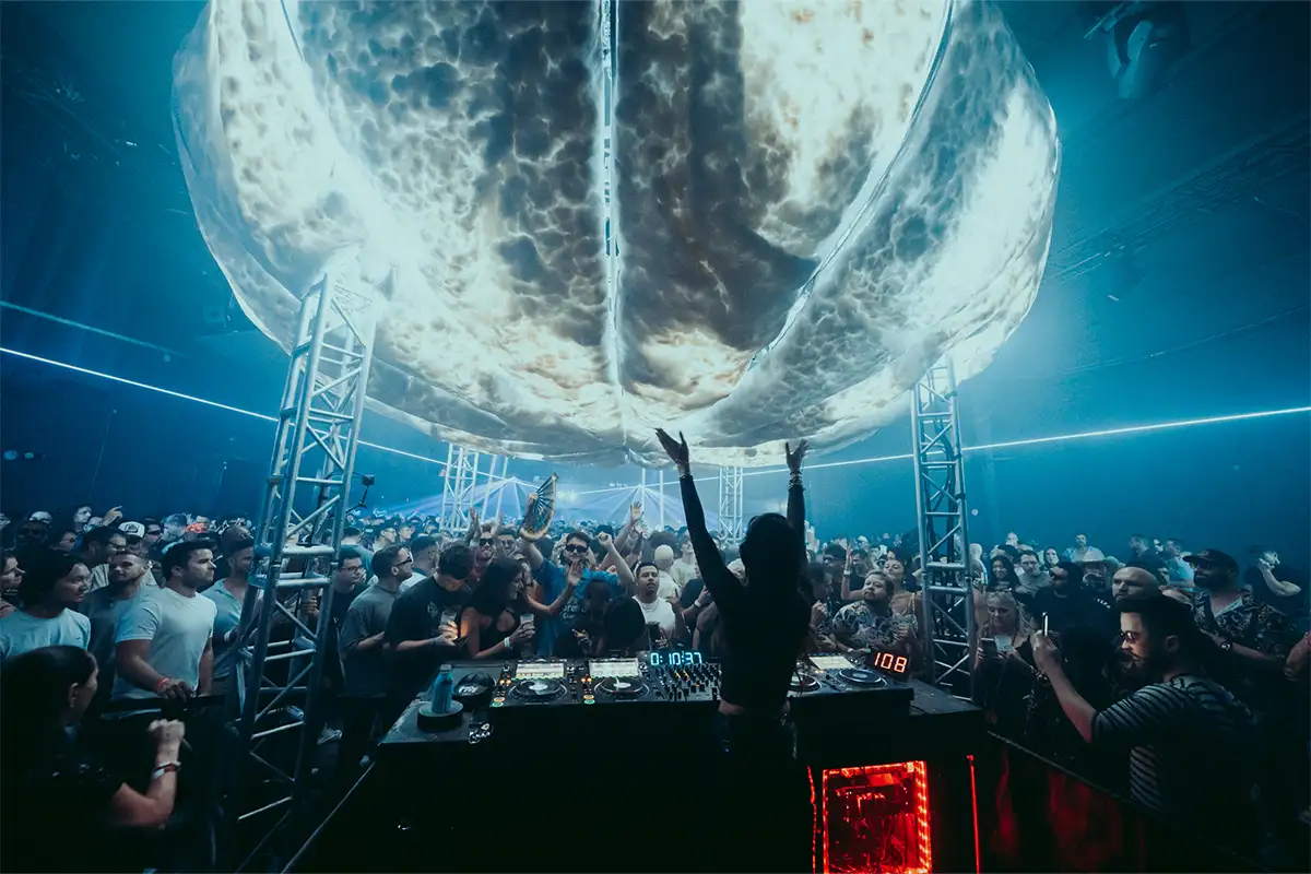 DJ with large crowd at The Fluffy Cloud Concert