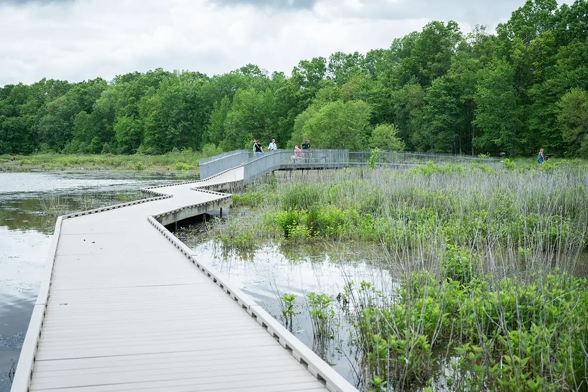 Huntley Meadow Park boardwalk trail