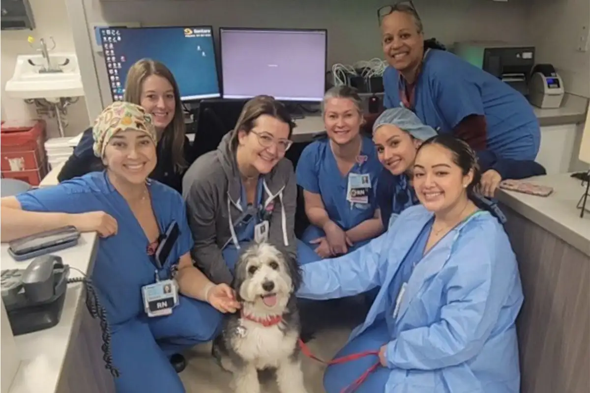 Sentara Northern Virginia Medical Center staff with therapy dog