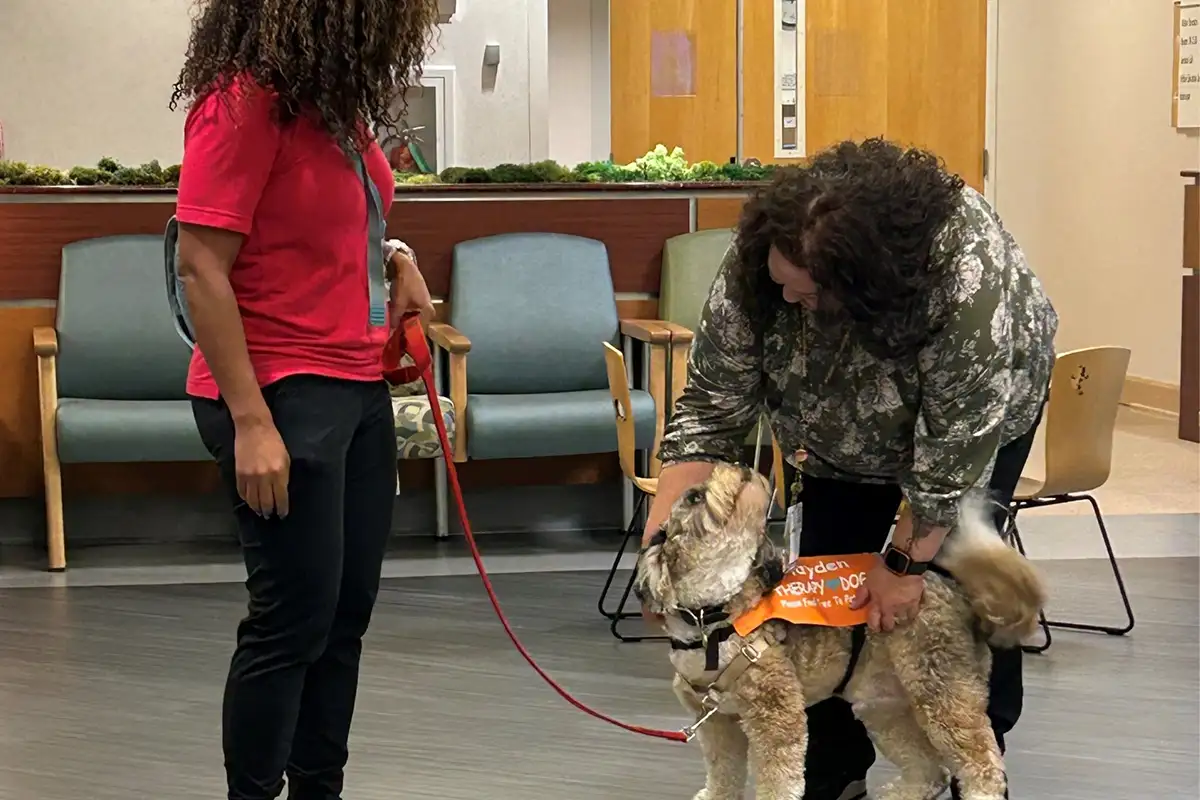 Sentara Northern Virginia Medical Center therapy dog playing with patient