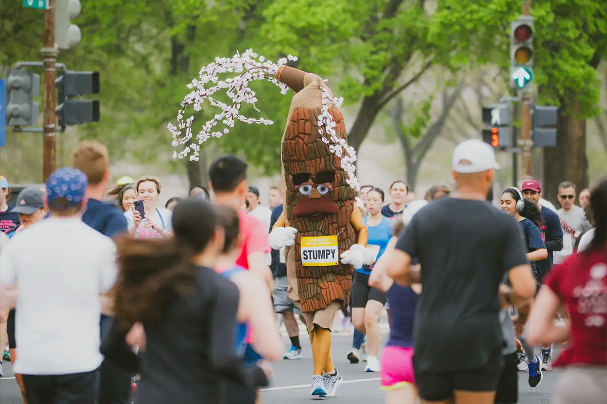 a person in a Stumpy costume runs the Cherry Blossom 10-miler