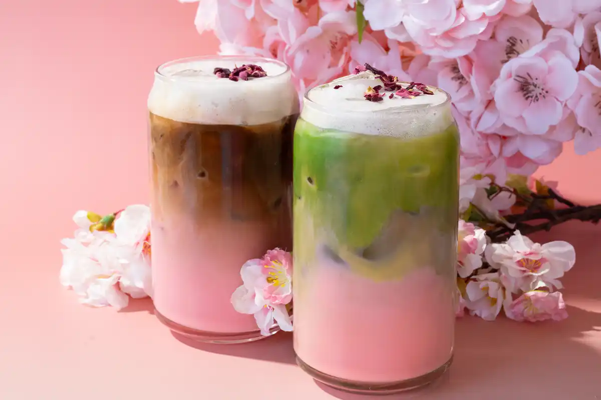 cherry blossom latte and matcha