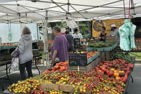 people buying produce at Central Farm Market farmers market