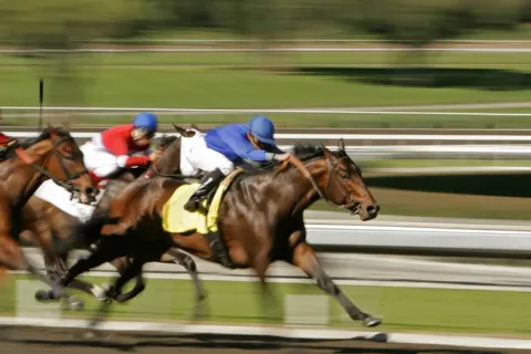 horses race down a track