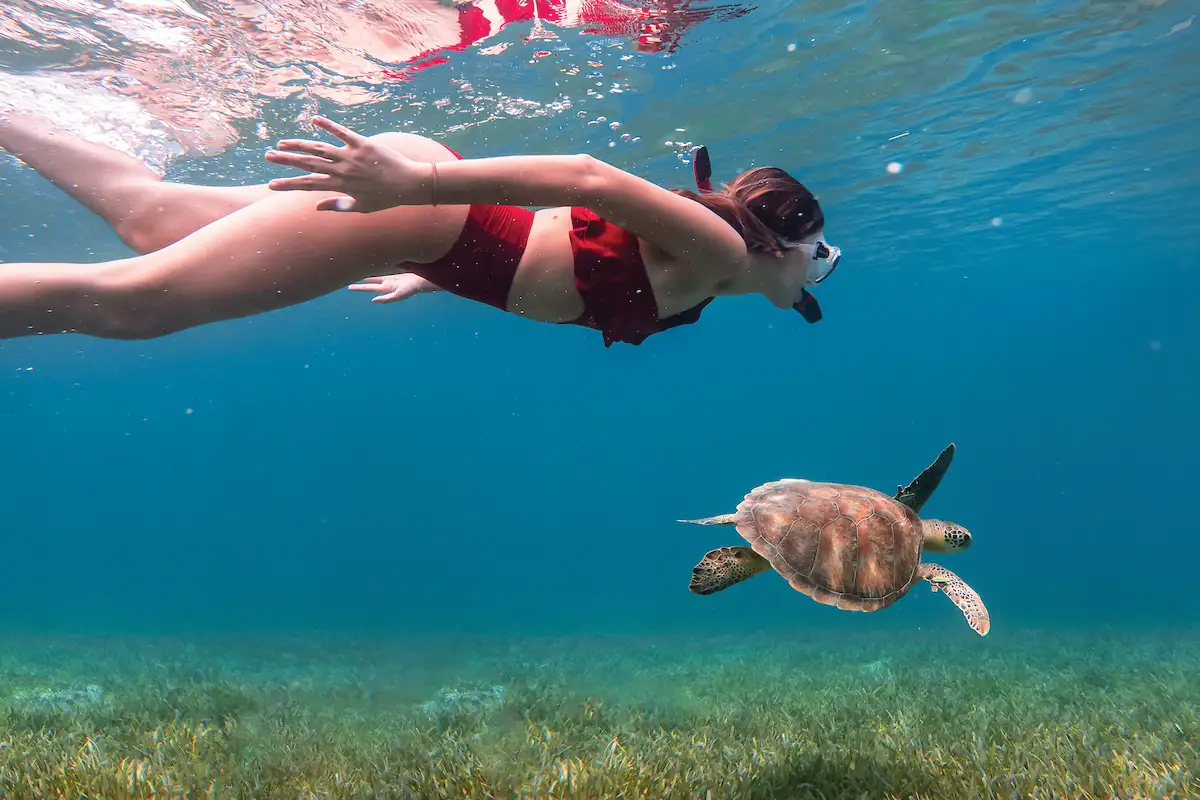 Snorkeling