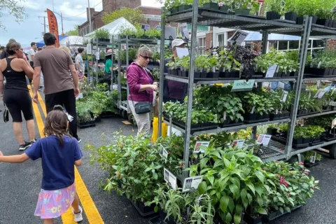 Flower & Garden Festival