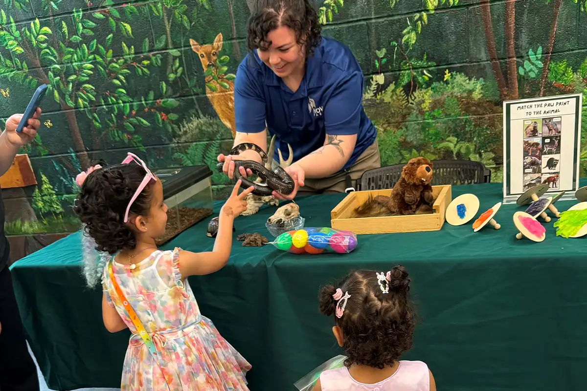 two young girls touch a snake held by a naturalist at Potomac Overlook Regional Park