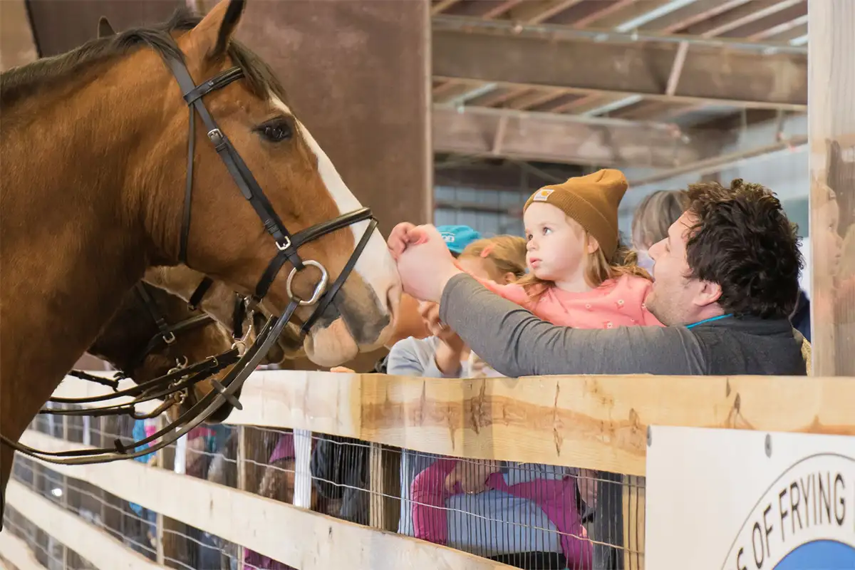 Families petting horses at Frying Pan Farm Park Horse Expo