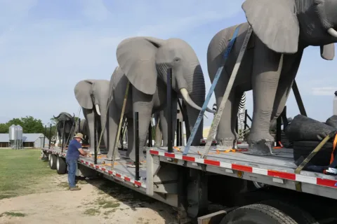 Elephant statues for Kalahari