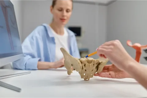 Doctor showing patient model of pelvis