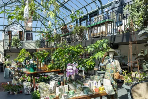 Plants and merchandise inside of Abernethy & Spencer Greenhouse & Garden Center