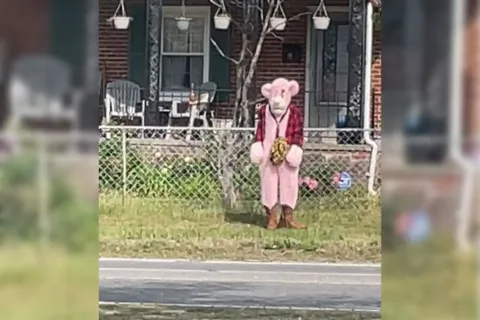 Suspect in pink animal costume with flannel shirt and brown boots.