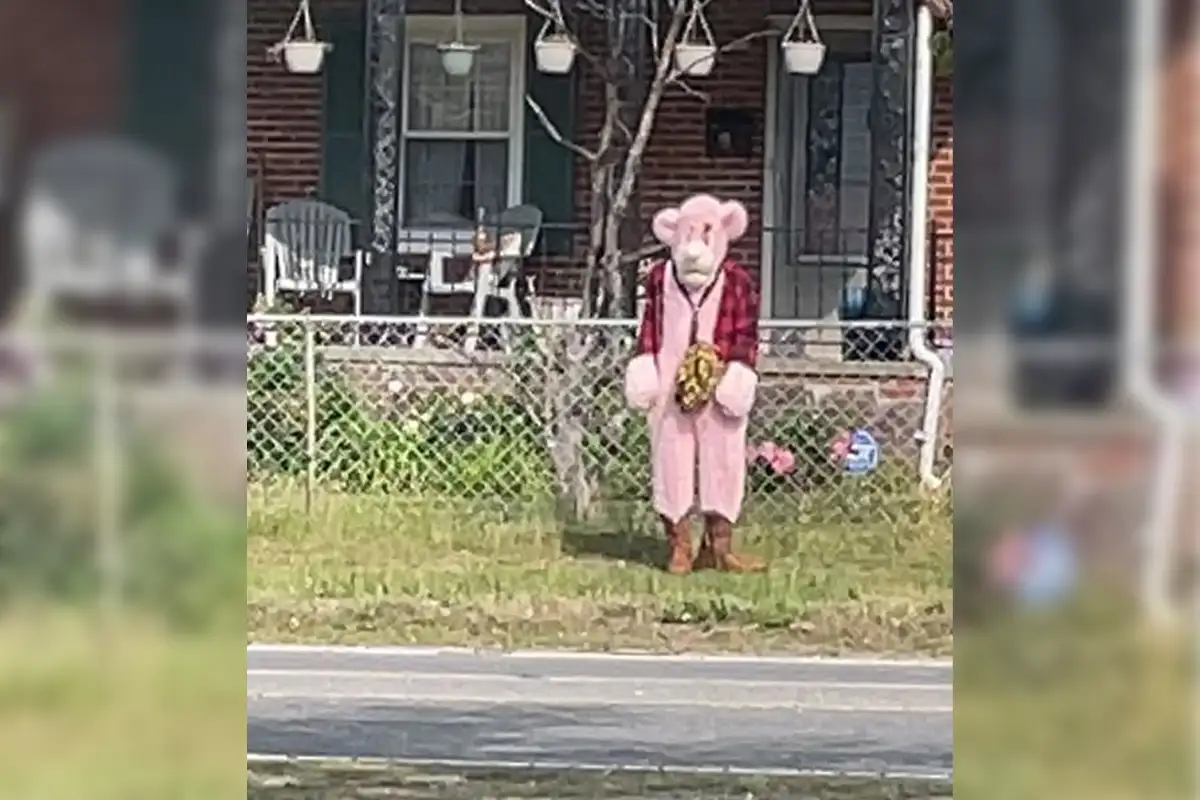 Suspect in pink animal costume with flannel shirt and brown boots.