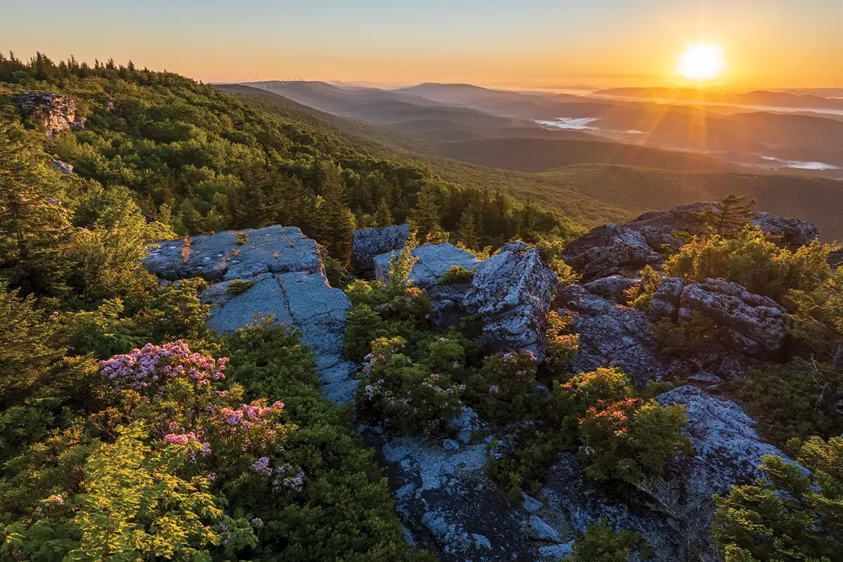 Dolly Sods Wilderness