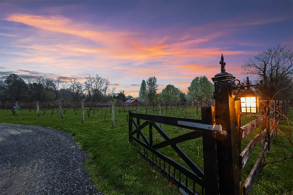 the vineyard at Firefly Cellars in Loudoun County
