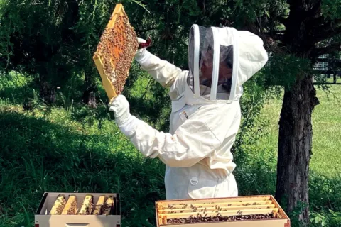 Vanessa Escobar Beekeeping