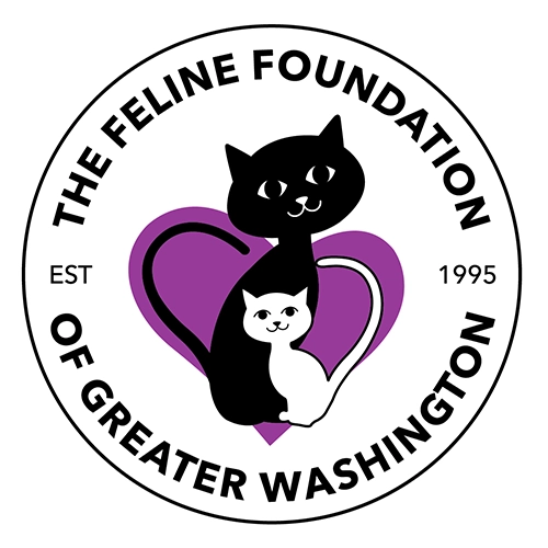 Feline Foundation of Greater Washington