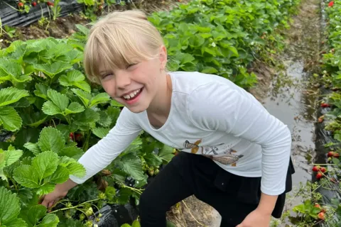 a girl picks strawberries outside a Loudoun County farm