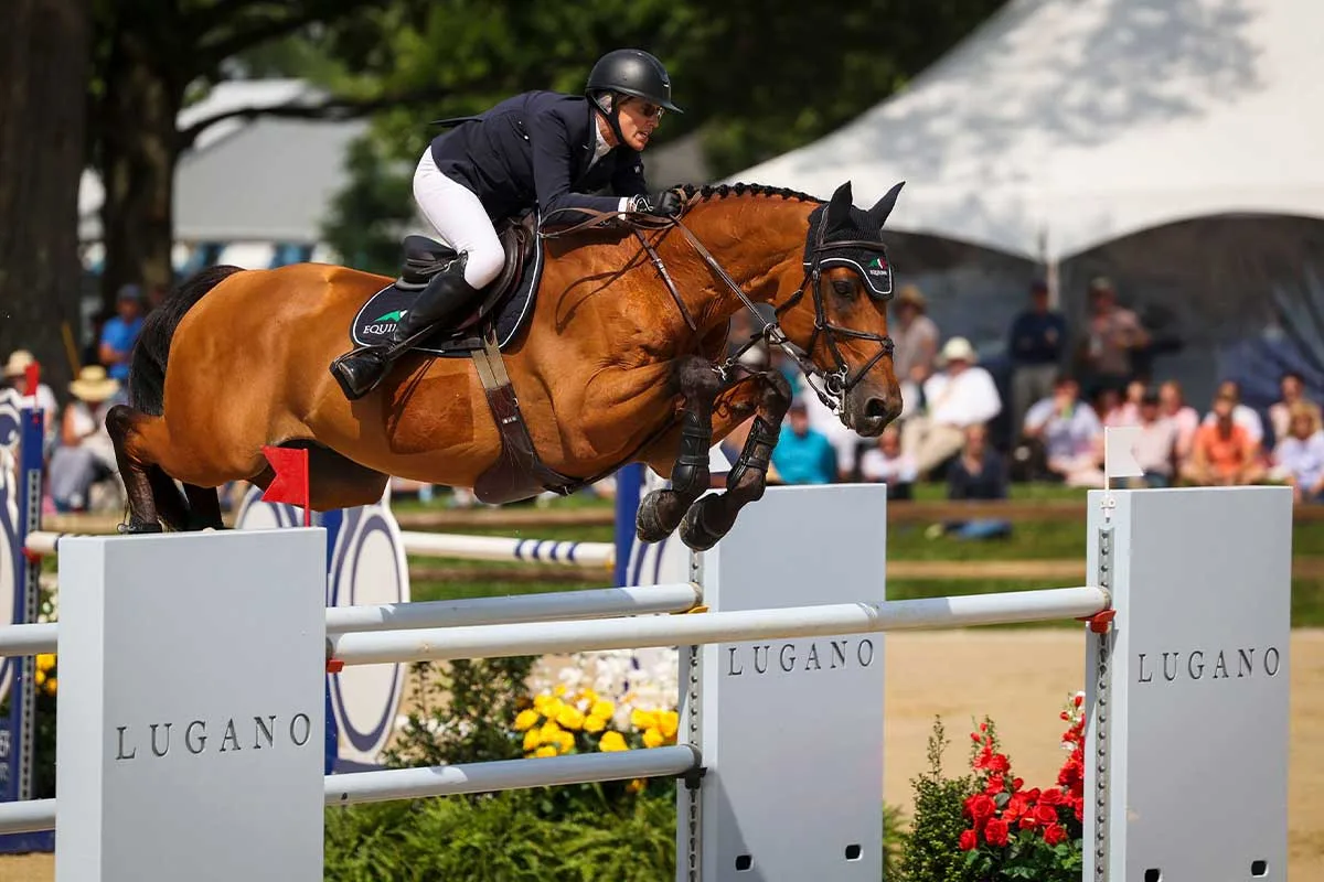 horse jumping over barrier