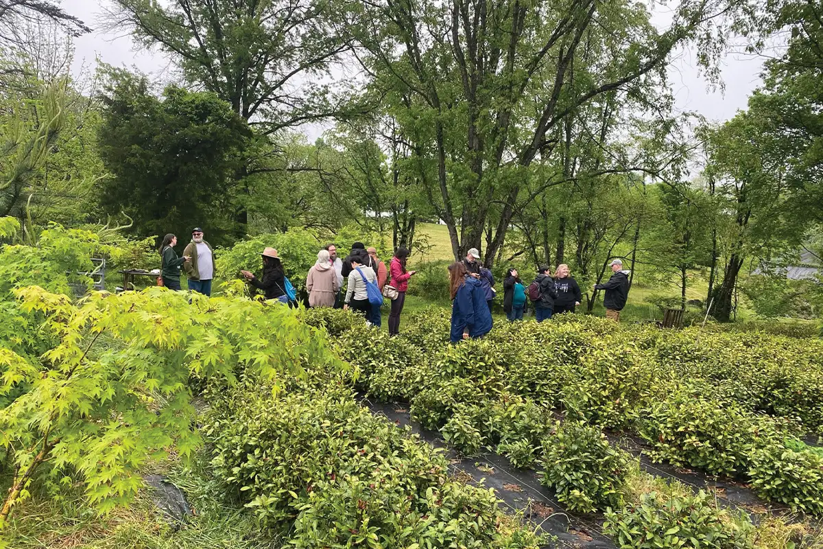Green Hills Garden