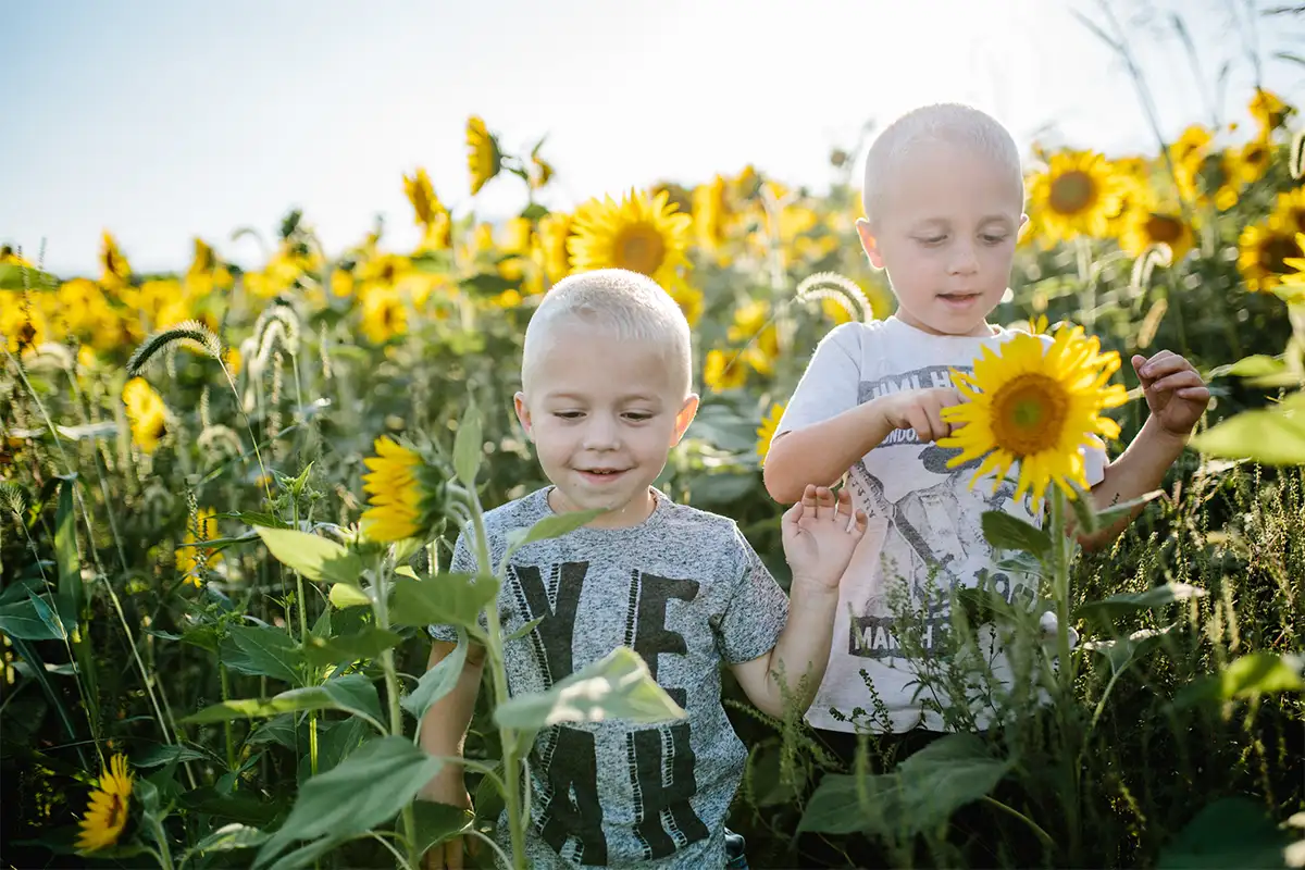 2 young boys in a field of sunflowers at Great Country Farms