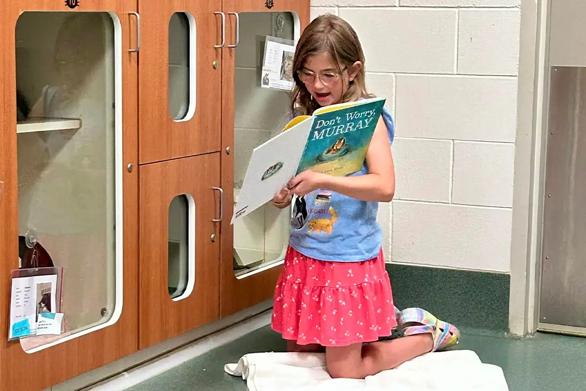 a young girl reads to a cat at a Fairfax County animal shelter