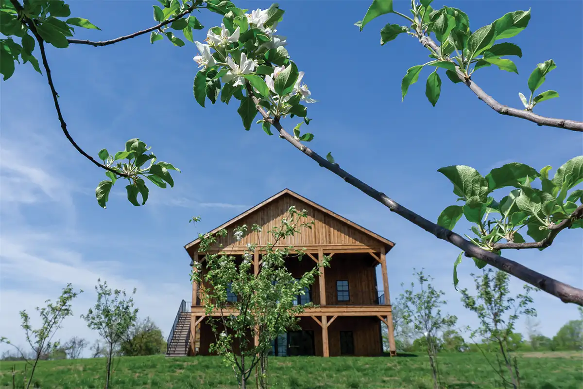 Fuji apples grow at The Farm 1858