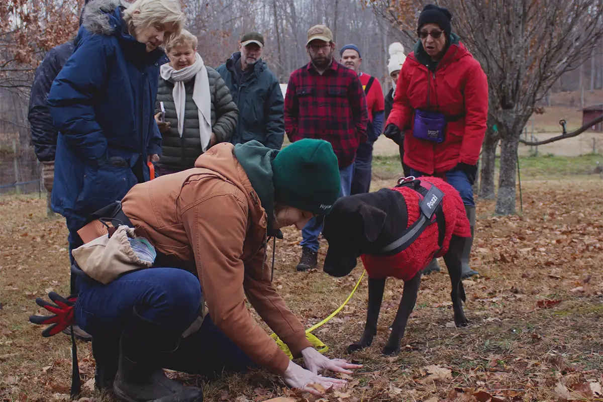 Truffle hunt at Virginia Truffles