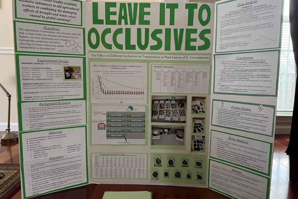 Chantilly High School student Brendan Li's tri-fold science fair backboard