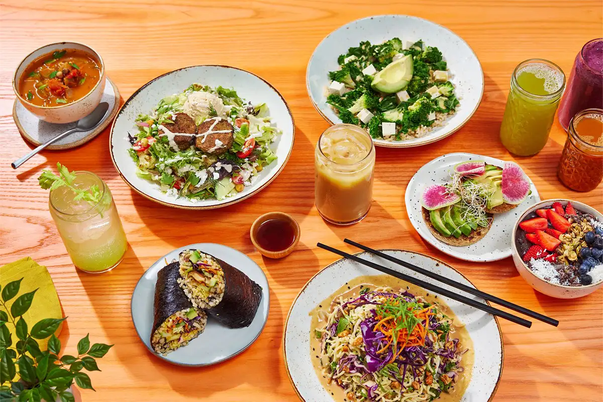 Display of cold tea and coffee beverages and salads, wraps, grain bowls, and more offered at Life Alive Café