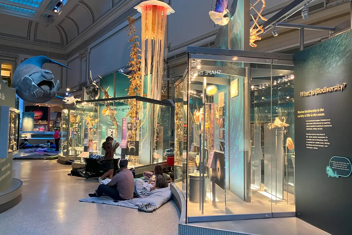 people sit on the floor in front of the Smithsonian exhibits during a sleepover event
