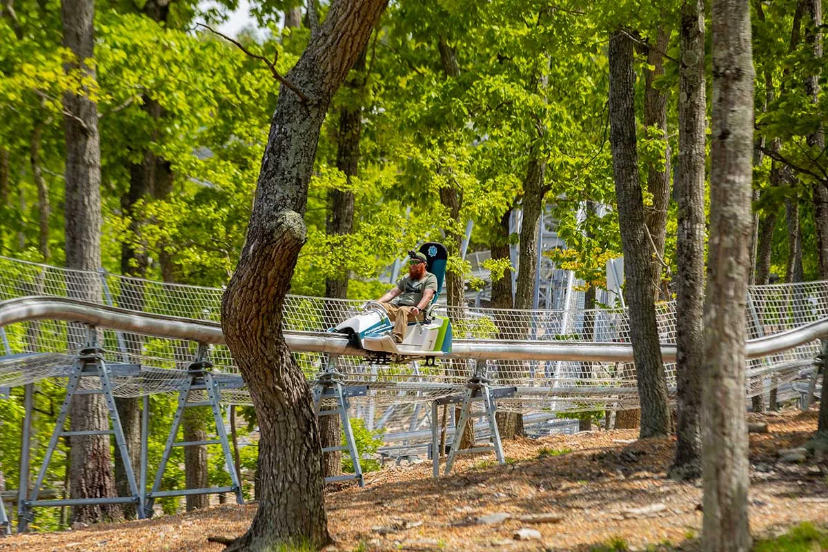 a man rides the Massanutten Mountain Mayhem alpine coaster