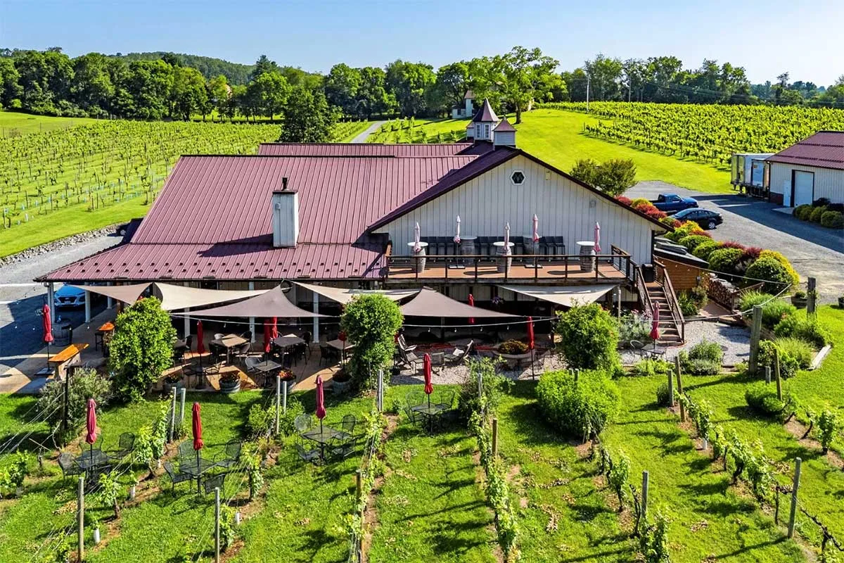 pearmund cellars vines