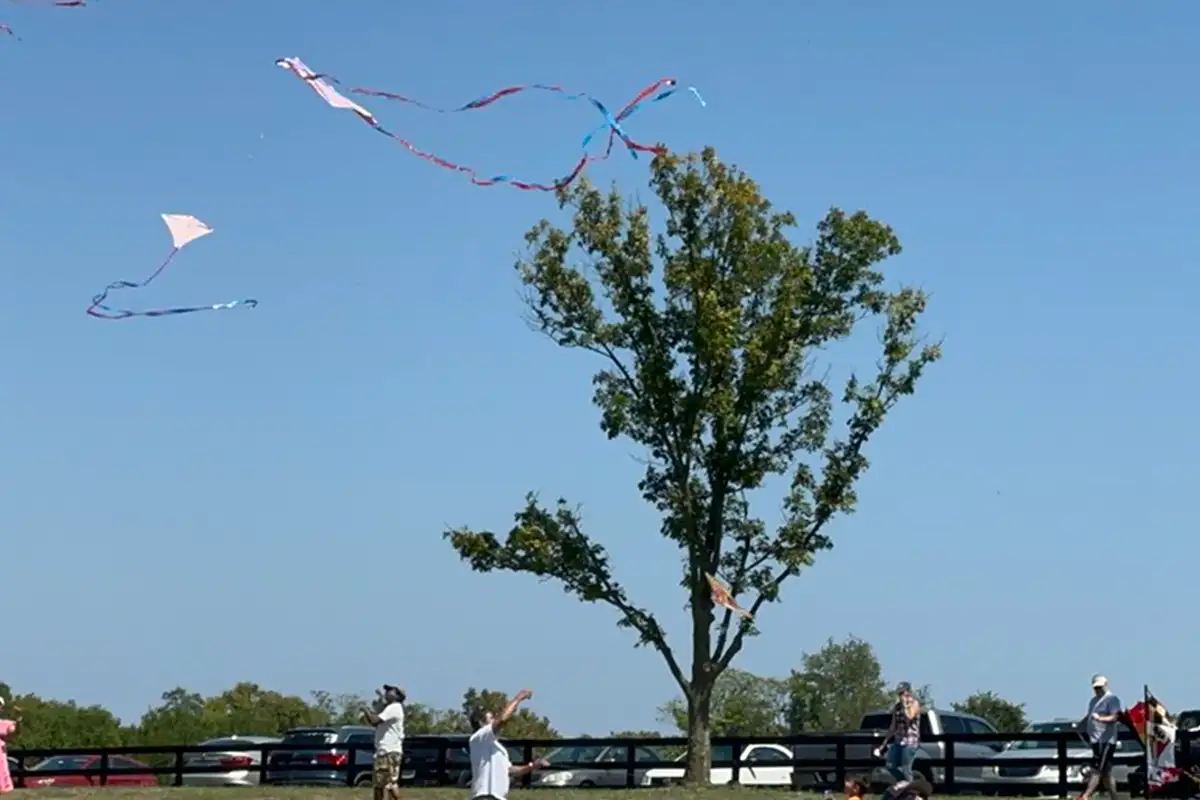 people fly kites at Leesburg Festival of Crafts & Kites ca