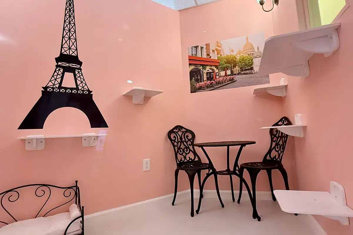 A Paris designed room at he Happy Cat Hotel & Spa in Fairfax