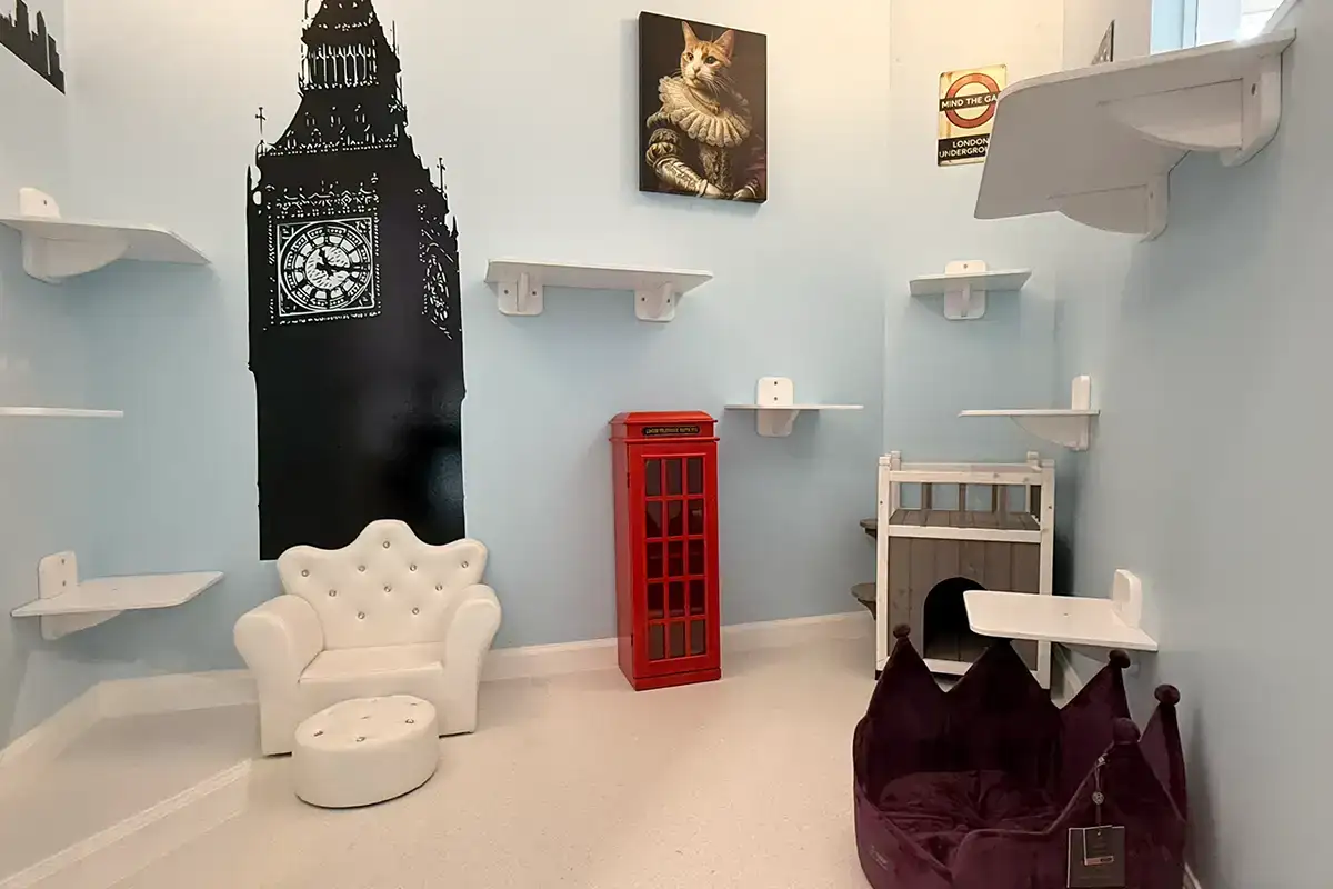 a room at The Happe Cat Hotel & Spa