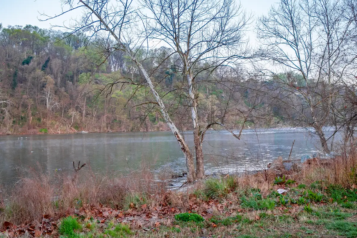 Potomac River near Fletcher's Cove