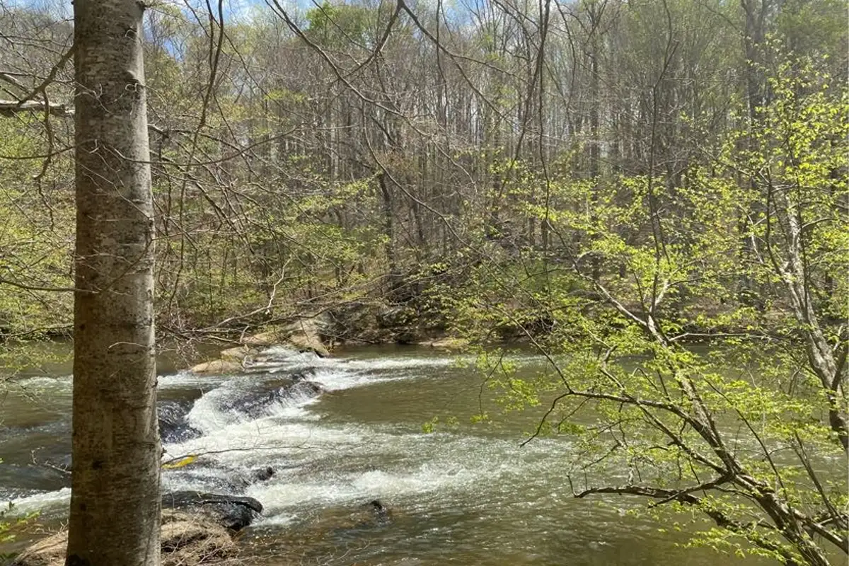 Future Mayo River State Park