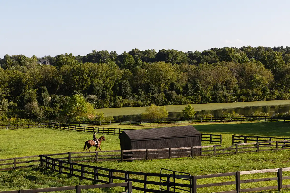 Equestrian facilities