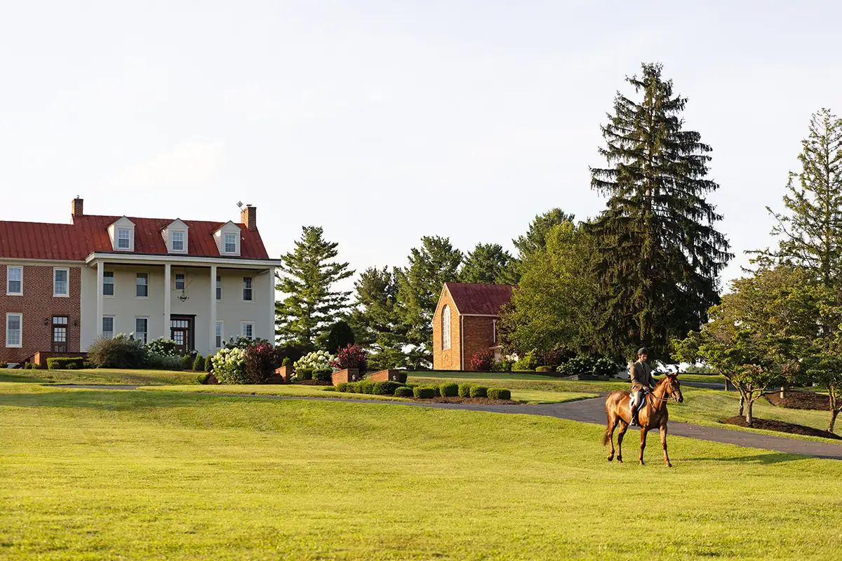 Wheatland farm with horse
