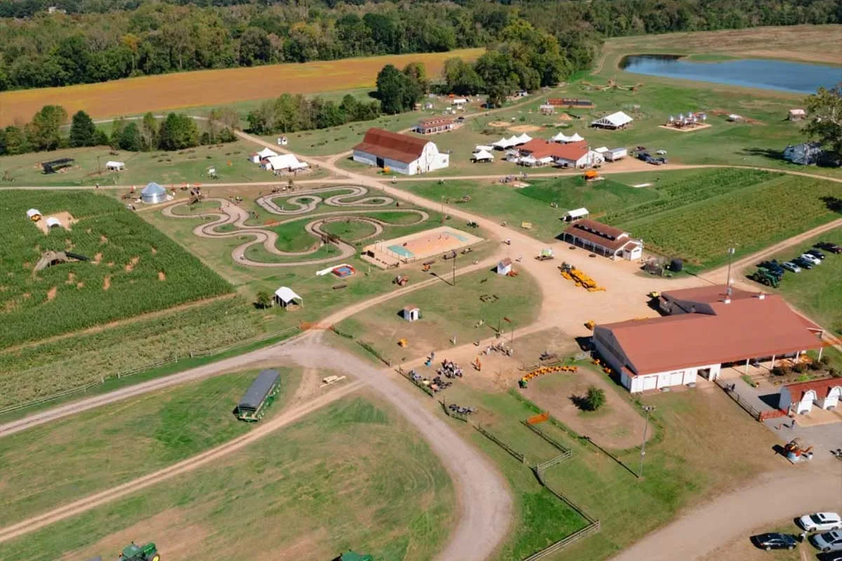 aerial shot of belvedere plantation land